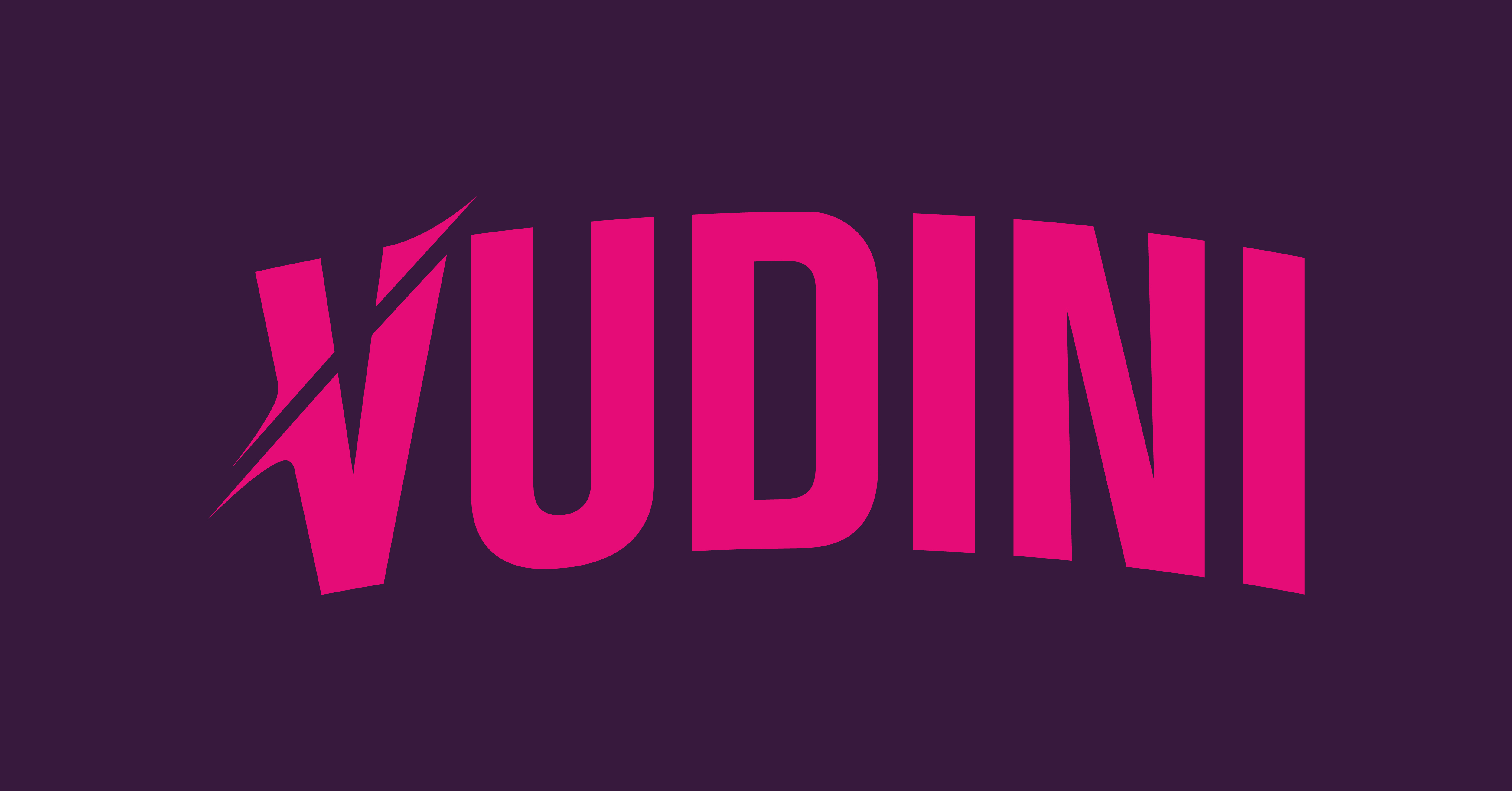 Vudini